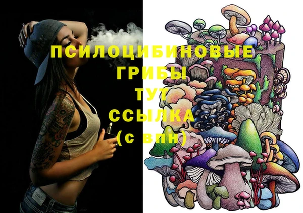 МДПВ Белокуриха