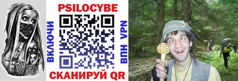Псилоцибиновые грибы ЛСД  даркнет сайт  hydra зеркало  Верещагино 